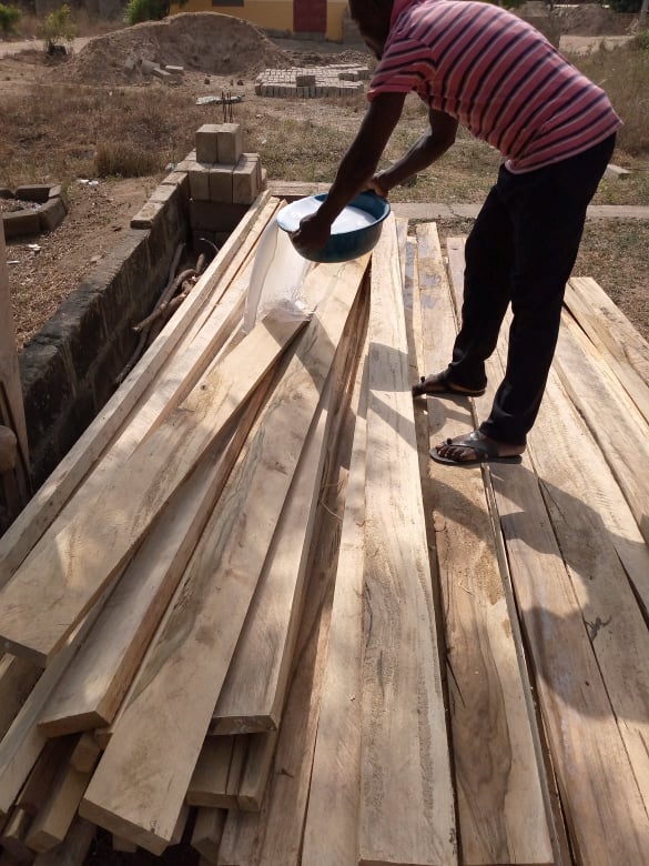 sanitizing wood for bugs